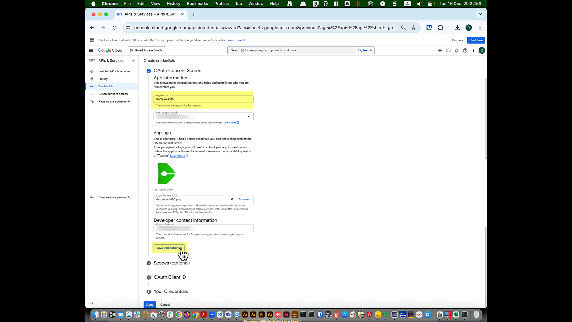 OAuth consent screen app information form (app name, support email, developer contact)