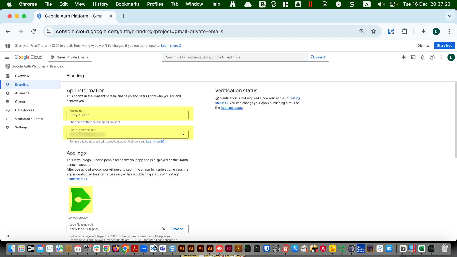 OAuth consent screen edit form with “Save” button
