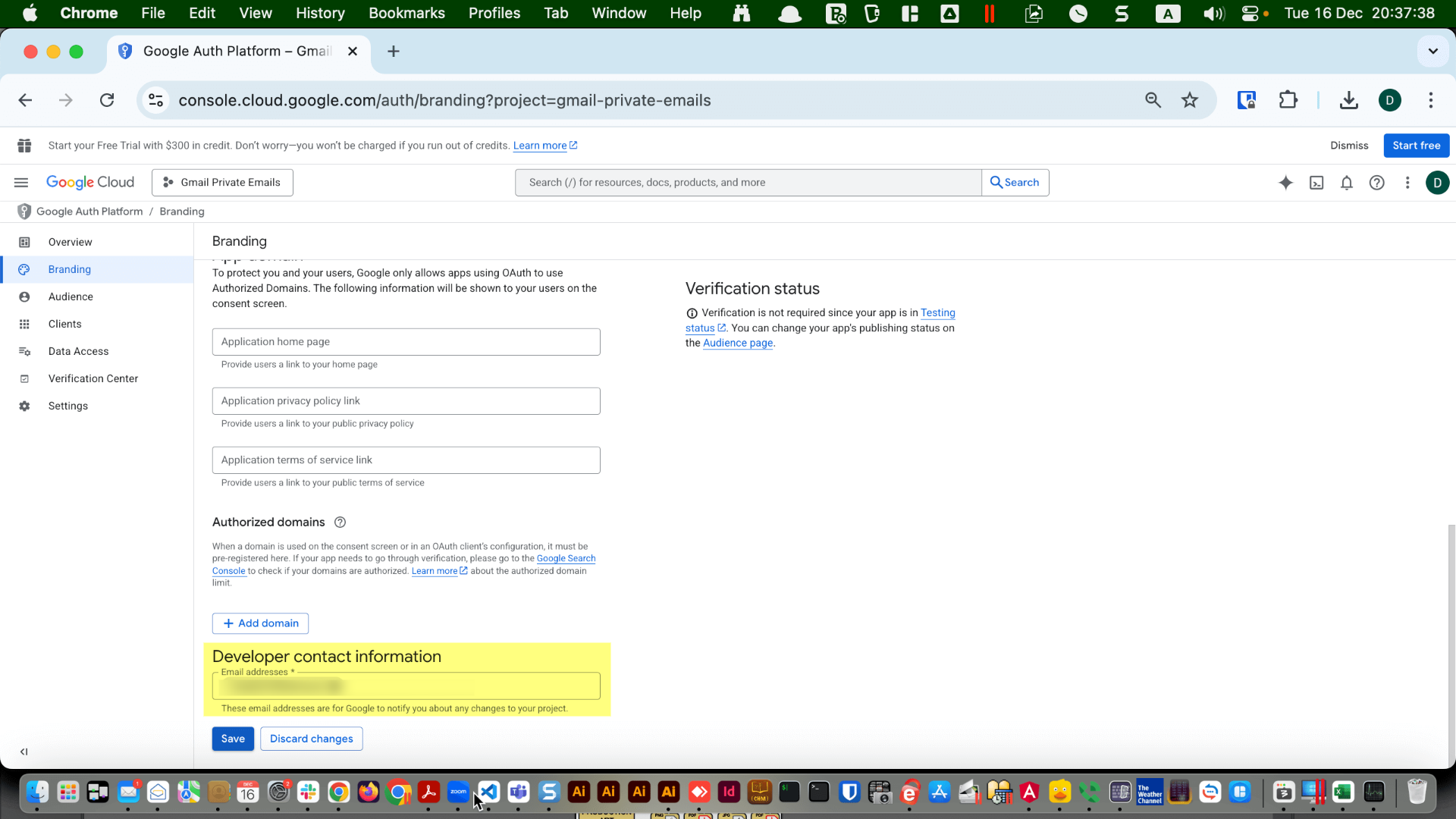 OAuth consent screen navigation with “Audience” selected